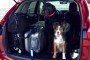 Top 5 Dog-Friendly Cars